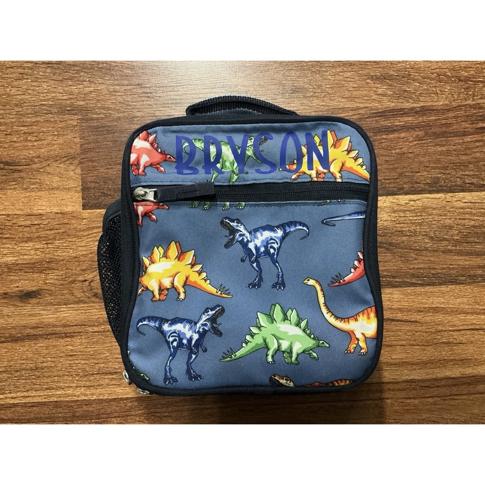 Pottery Barn Kids Multi Dinosaurs Lunch Box BRYSON Blue Cold Pack **
